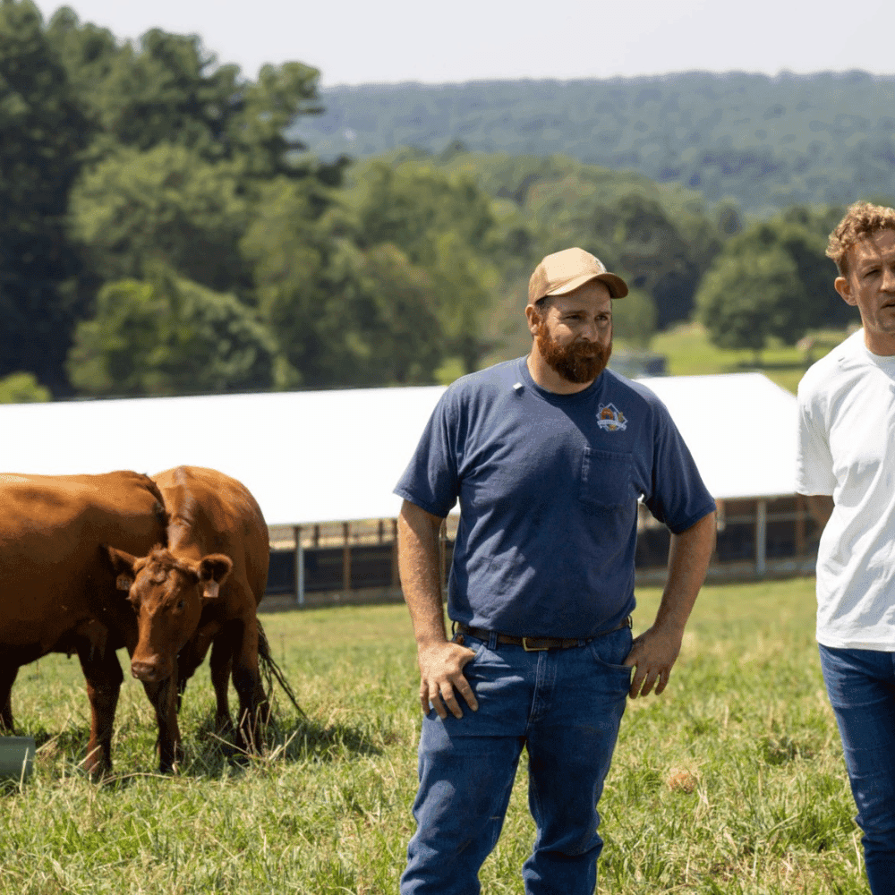 Pleasant View Farms Red Angus Ground Beef