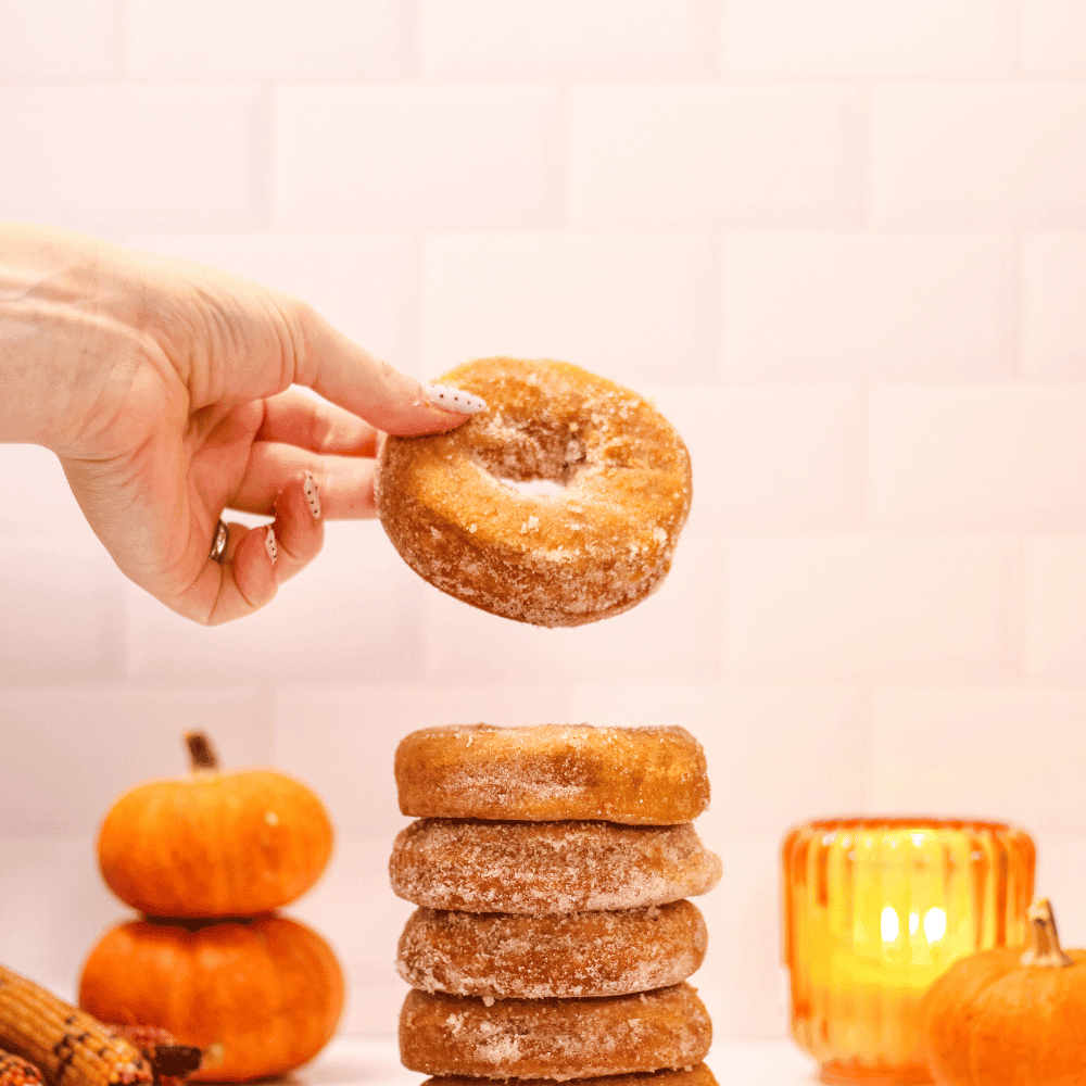 North Hadley Sugar Shack Apple Cider Donuts