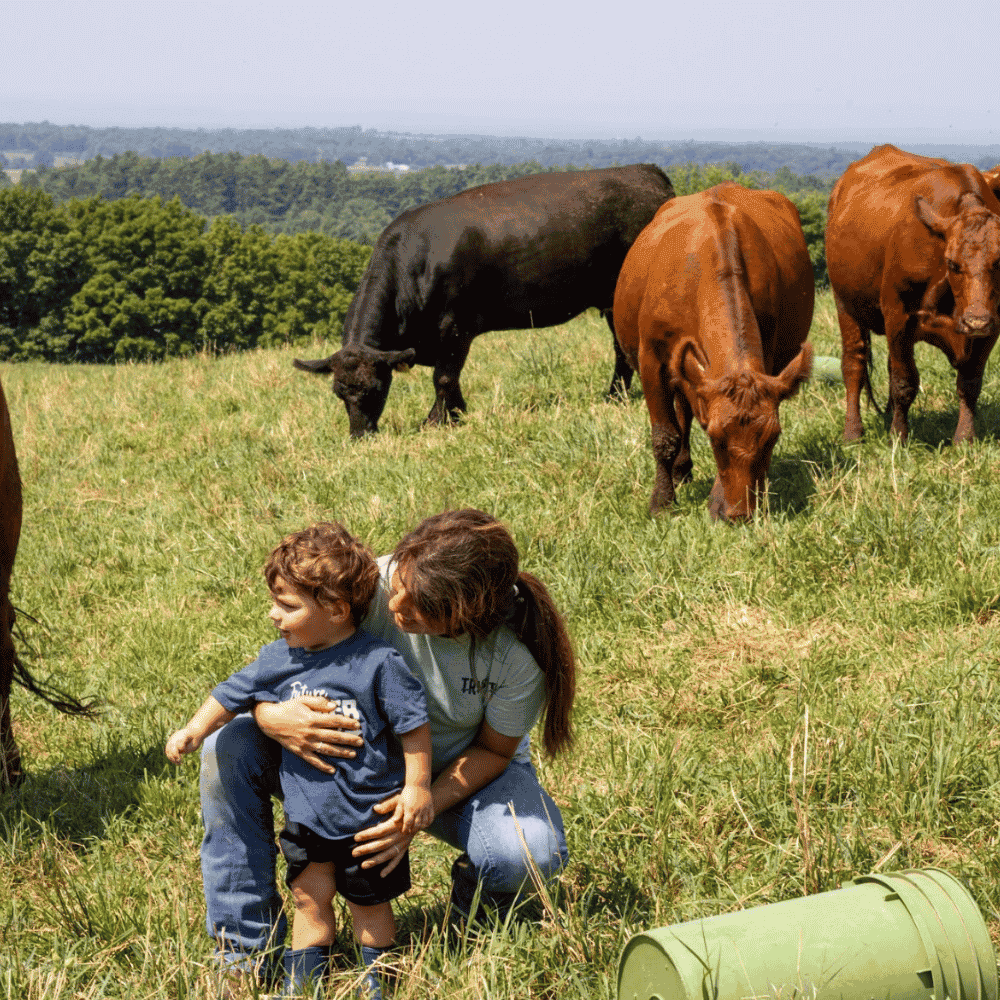 Pleasant View Farms Red Angus Ground Beef
